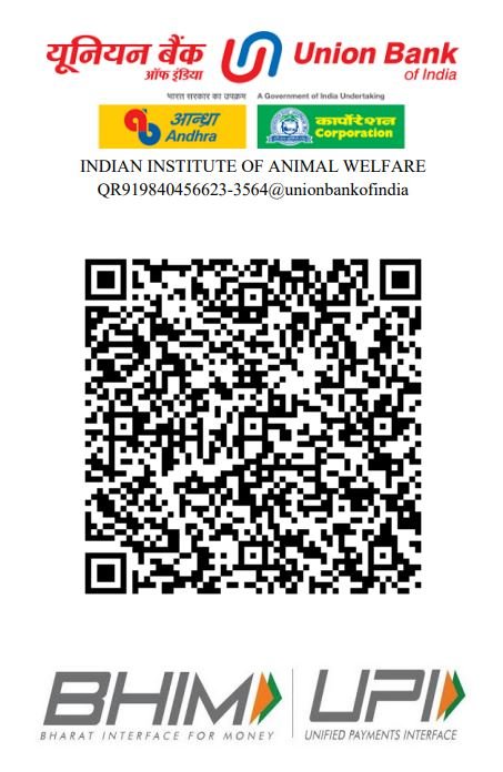 UPI QR Code